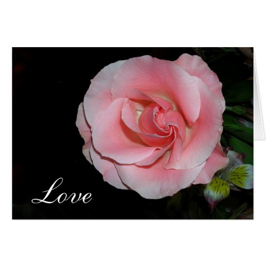 Liebe Rose (Vorderseite (Horizontal))