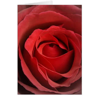 Liebe Rose Card