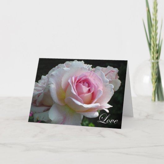 Liebe Rose Card Karte (Vorderseite)