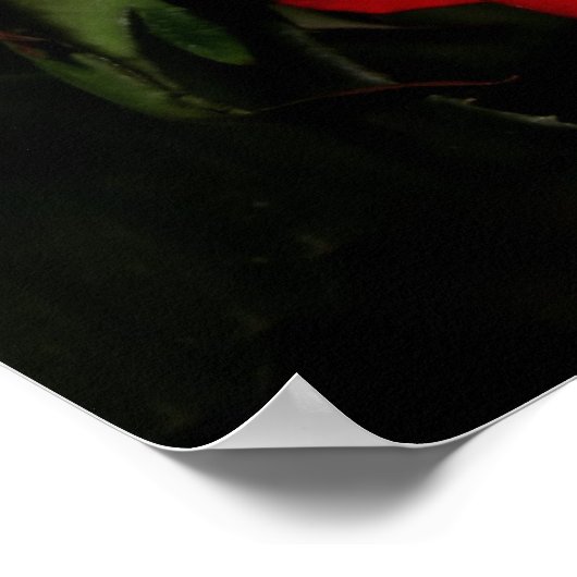 LIEBE Rose Poster (Ecke)