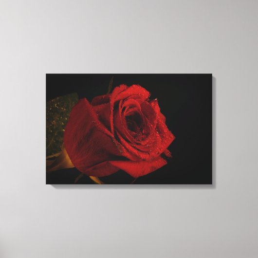 Liebe rote Rose Leinwanddruck (Vorderseite)