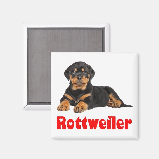 Liebe Rottweiler Brown & Black Puppy Dog Cartoon Magnet (Vorderseite/Rückseite)