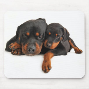 Liebe Rottweiler Welpe Hund Weiße Mauspad