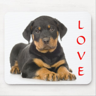 Liebe Rottweiler Welpen Hund Ruhende Mauspad