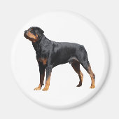 Liebe Rottweiler Welpenhund Magnet (Vorne)