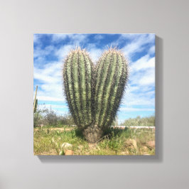 Liebe saguaro Leinwand