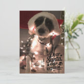 Liebe Santa I kann erklären (Hund) Karte (Stehend Vorderseite)