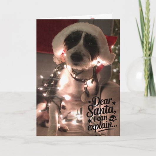 Liebe Santa I kann erklären (Hund) Karte (Vorderseite)