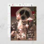 Liebe Santa I kann erklären (Hund) Postkarte (Vorne/Hinten)