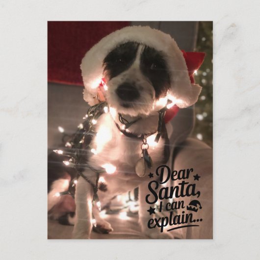 Liebe Santa I kann erklären (Hund) Postkarte (Vorderseite)