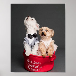 LIEBE SANTA, ICH WOLLTE ALLE KNOCHEN POSTER