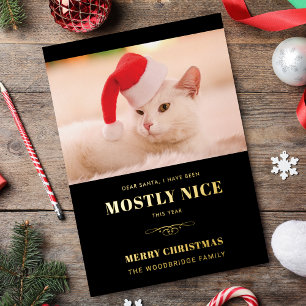 Liebe Santa Niedlich Cat Foto Weihnachten Folien Feiertagskarte