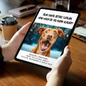 Liebe Santa Wie viel weißt du schon? Weihnachten