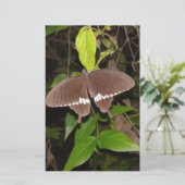 LIEBE-SCHALTFLY-GESCHENKE FÜR JEDEN BRIEFPAPIER (Stehend Vorderseite)