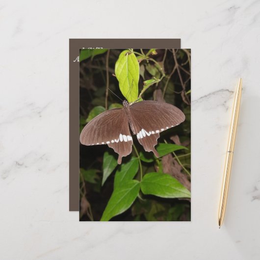 LIEBE-SCHALTFLY-GESCHENKE FÜR JEDEN BRIEFPAPIER (Vorderseite/Rückseite Beispiel)