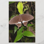 LIEBE-SCHALTFLY-GESCHENKE FÜR JEDEN BRIEFPAPIER (Vorderseite)