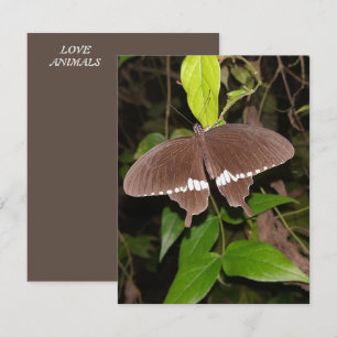LIEBE-SCHALTFLY-GESCHENKE FÜR JEDEN MITTEILUNGSKARTE