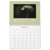 Liebe Schmetterlinge Schmetterling und Blumenfotog Kalender (Mär 2017)