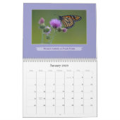 Liebe Schmetterlinge Schmetterling und Blumenfotog Kalender (Jan 2026)