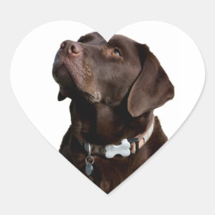 Liebe schwarze braune Labrador Retriever Aufkleber