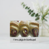 Liebe Schweine in Decken! Postkarte (Stehend Vorderseite)