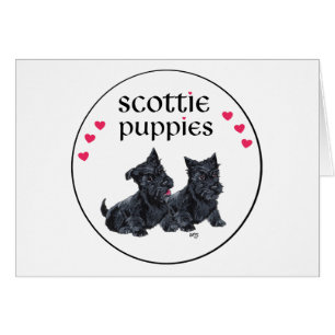 Liebe Scottie-Welpen Valentinstag