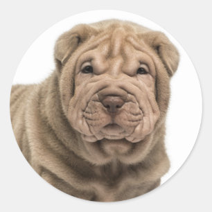Liebe Shar Pei Dog Sticker / Siegel