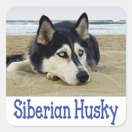 Liebe Siberian Husky Welpe Hund Gruß Sticker (Vorderseite)