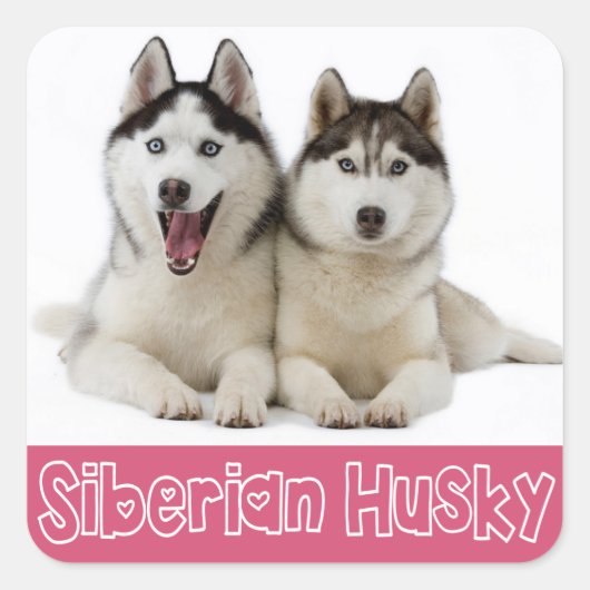 Liebe Siberian Husky Welpe Hund Gruß Sticker (Vorderseite)