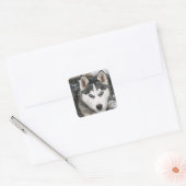 Liebe Siberian Husky Welpe Hund Gruß Sticker (Umschlag)