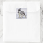 Liebe Siberian Husky Welpe Hund Gruß Sticker (Tasche)