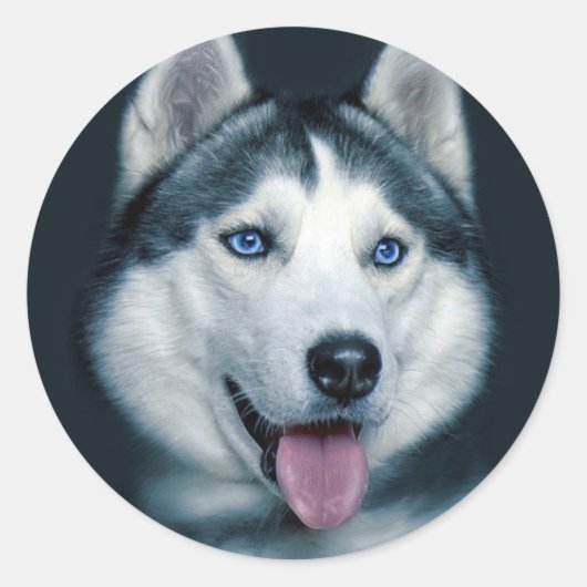Liebe Siberian Husky Welpe Hund Gruß Sticker (Vorderseite)