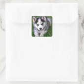 Liebe Siberian Husky Welpe Hund Gruß Sticker (Tasche)