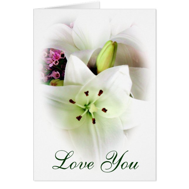 Liebe Sie_ (Vorne)