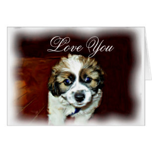 Liebe Sie_