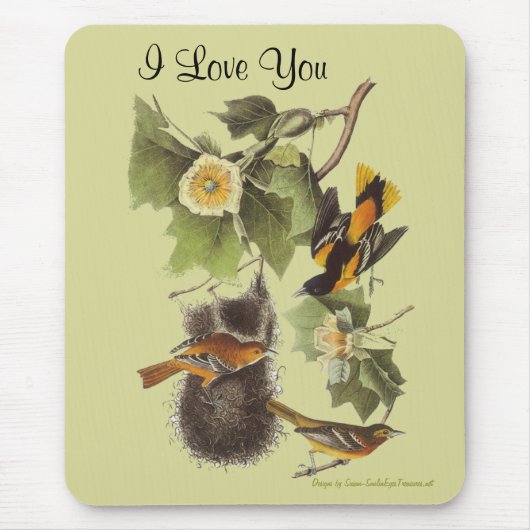 Liebe Sie Audubon Birds Personalisiert Mousepad (Vorne)