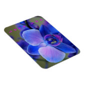 Liebe Sie Blau und weich rosa Orchid Magnet (Rechte Seite)