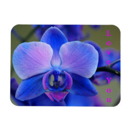 Liebe Sie Blau und weich rosa Orchid Magnet
