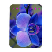 Liebe Sie Blau und weich rosa Orchid Magnet (Vertikal)