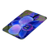 Liebe Sie Blau und weich rosa Orchid Magnet (Linke Seite)