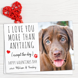 Liebe Sie Funny Dog Lover Pet Foto Valentinstag Feiertagskarte