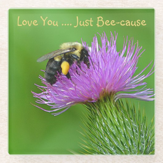Liebe Sie gerade Biene-Ursache Glasuntersetzer (Vorderseite)