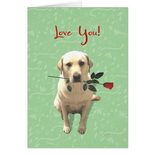 Liebe Sie Karte, Retriever Dog mit Rose, Adorable (Vorne)