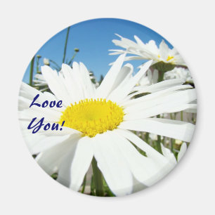 Liebe Sie! Magnete Blue Sky White Daisy Blume Magnet