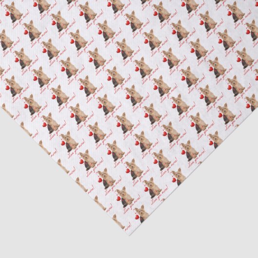 Liebe Sie mehr! Yorkie Seidenpapier (Ausschnitt)