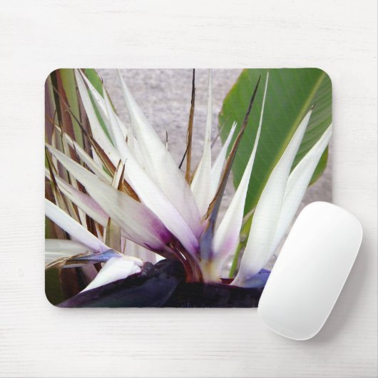 Liebe Sie_ Mousepad (Mit Mouse)