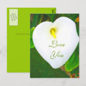 Liebe Sie_ Postkarte (Vorne/Hinten)