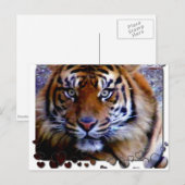 Liebe Sie_ Postkarte (Vorne/Hinten)