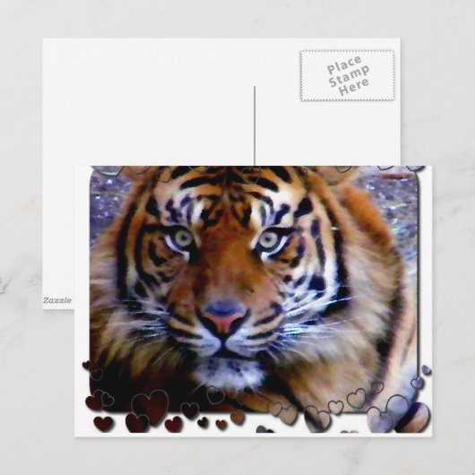 Liebe Sie_ Postkarte (Vorne/Hinten)