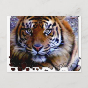 Liebe Sie_ Postkarte